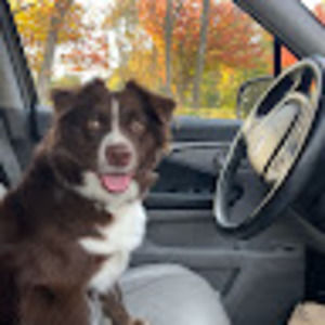 Meet your Posher, Quinn
